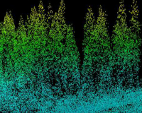 
		Consulta i maneig d’informació LiDAR aplicada a la planificació forestal
	