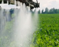 
		Nivell bàsic de manipulador i aplicador de productes fitosanitaris
	