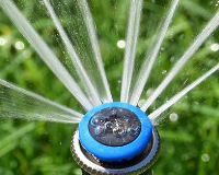 
		Com reduir el consum d’aigua de reg en jardineria
	