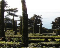 
		El patrimoni jardiner de Catalunya
	