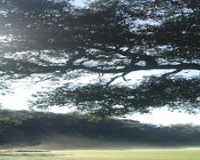 
		Reconnectar amb la natura: mirades transformadores pel medi rural
	