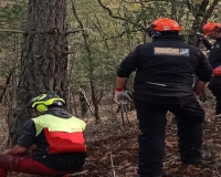 
		Preparació per a la Certificació Europea de Serra Mecànica (ECC 1+2)
	