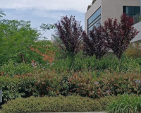 
		Jardineria 2.0: Innovació i sostenibilitat en el manteniment d’espais verds
	