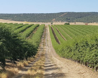 
		Nivell bàsic de manipulador i aplicador de productes fitosanitaris
	