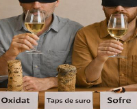 
		Tast tècnic de defectes de vins
	