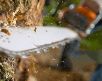 
		Iniciació en l'ús de la motoserra
	