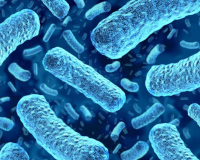 
		Prevenció i control de Listeria monocytogenes en la indústria alimentària
	