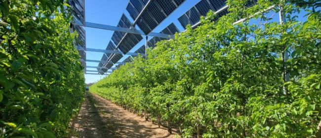 L’aposta per l'agrovoltaisme, una nova acció per fer compatible la producció d'energia fotovoltaica en terrenys agrícoles