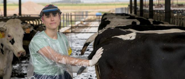 Reportatge: Un recorregut pels 20 anys de RuralCat, la comunitat que contribueix a millorar la competitivitat i connectivitat del sector agroalimentari i el món rural