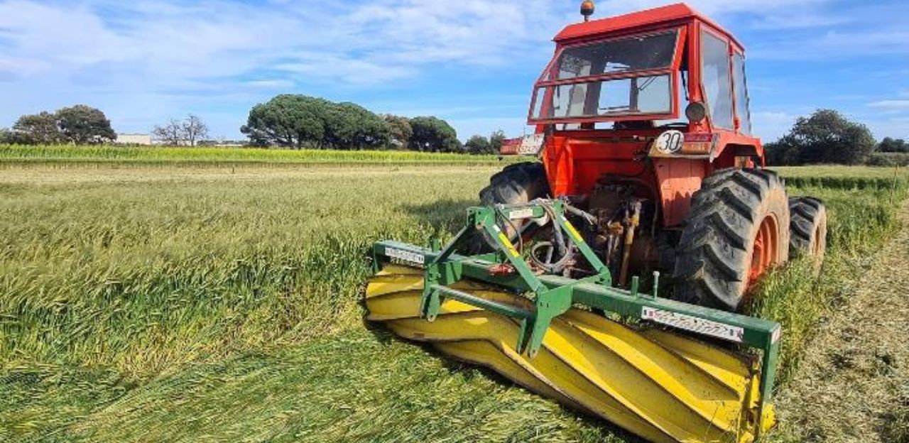 Nova fitxa tècnica sobre la comparació d’estratègies de gestió de diferents cultius amb serveis agroecològics en sistemes hortícoles ecològics