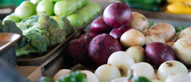 L’Estratègia alimentària de Catalunya