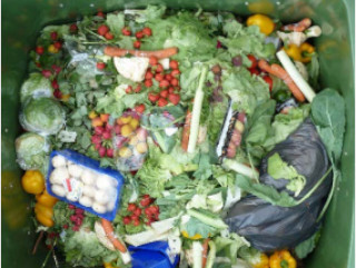 El malbaratament alimentari en xifres. Causes, impactes i alternatives
