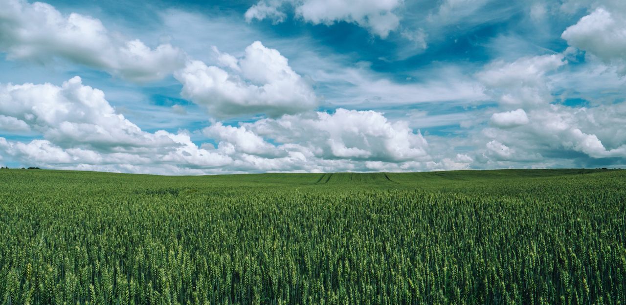 Xarxa Comptable Agrària de Catalunya