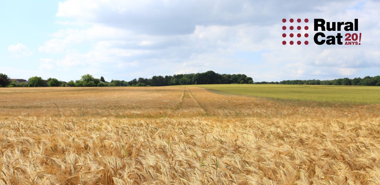 20 anys de RuralCat: Les entrevistes, els articles tècnics i els reportatges, contingut tècnic, especialitzat i de qualitat