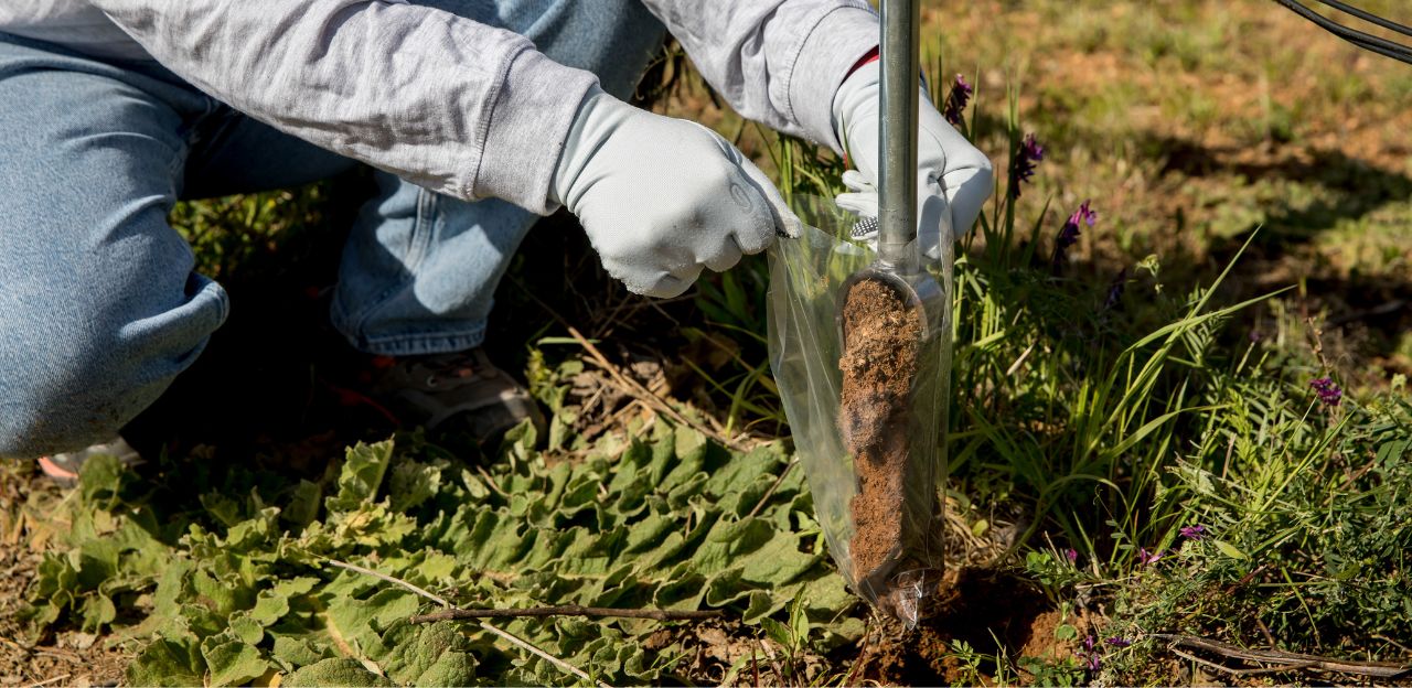 Reequilibrar nutrients als sòls agrícoles