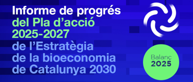 Informe de progrés 2025