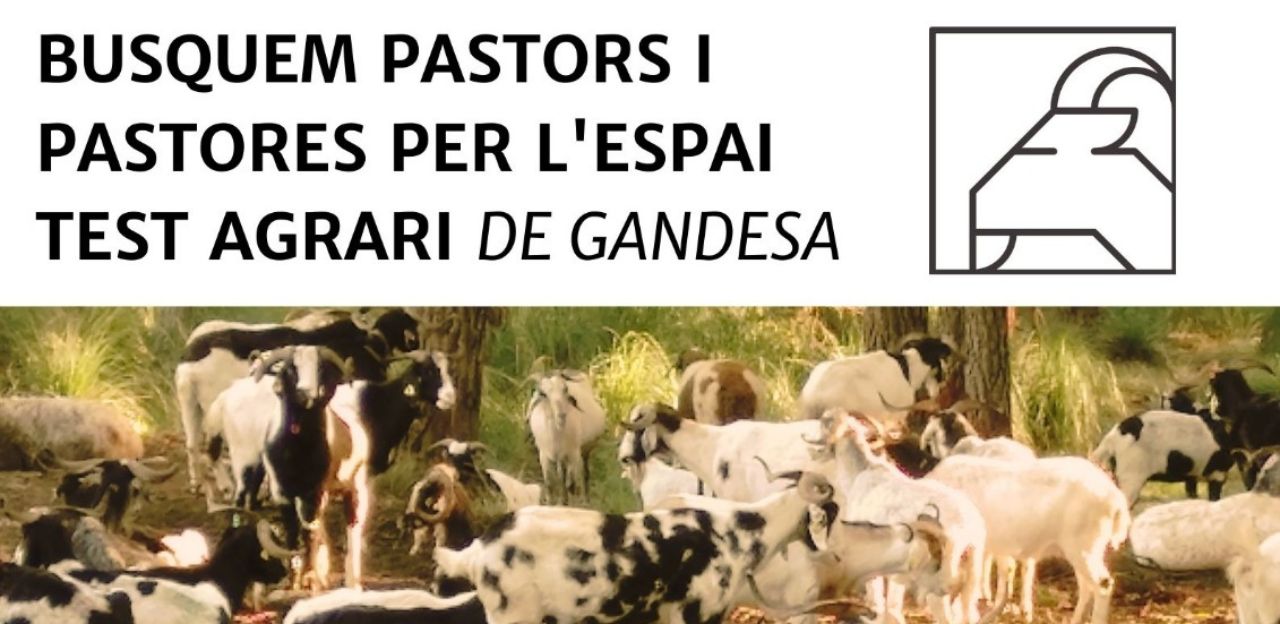 Oberta la convocatòria per a persones emprenedores en el sector agro-ramader a l’espai test agrari de Gandesa