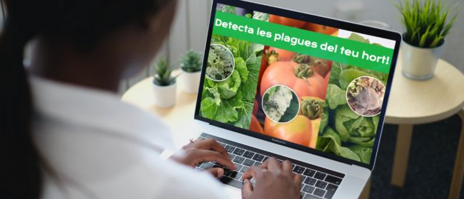 HortaLab espai web plagues
