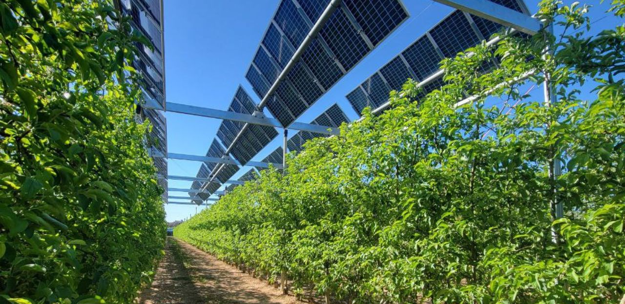L’aposta per l'agrovoltaisme, una nova acció per fer compatible la producció d'energia fotovoltaica en terrenys agrícoles