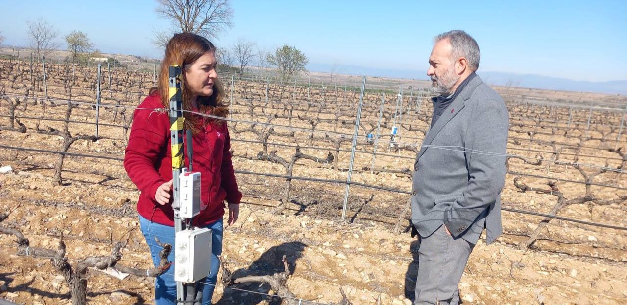 El reg digital permetrà al sector vitivinícola català mantenir la seva producció amb un 40% menys d'aigua