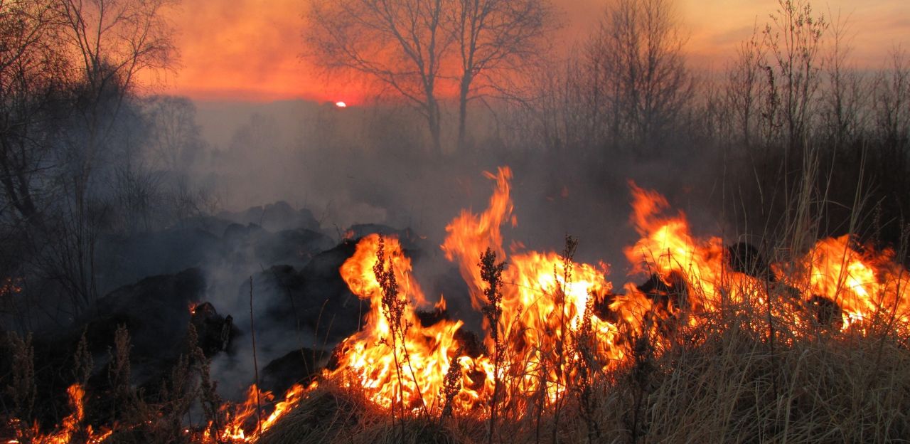 Del 15 de març al 15 d’octubre, no es podrà fer foc al bosc