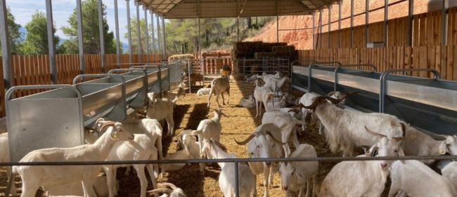 Ampliat fins al 4 de novembre el termini per participar a l’Espai Test Agrari de Gandesa