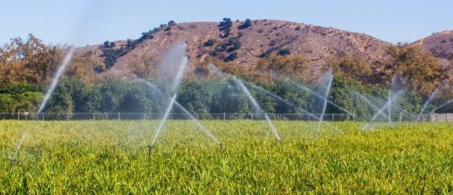 Tàrrega acollirà una jornada tècnica clau sobre la qualitat de l’aigua de reg en agricultura