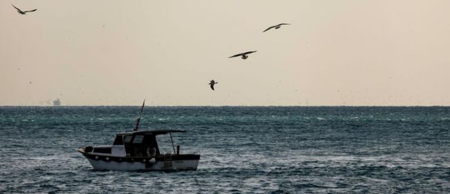 Oberts els ajuts FEMPA 2026-2027 amb una dotació de 8,5 M€ per impulsar una pesca més sostenible i una aqüicultura més eficient