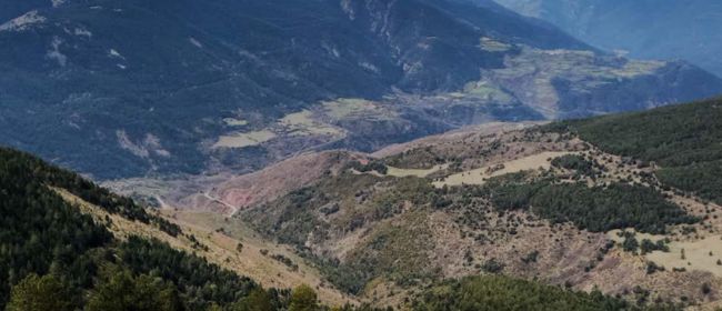 Article tècnic: Creació de paisatges agroforestals resilients i la provisió sostenible de serveis ecosistèmics de Catalunya