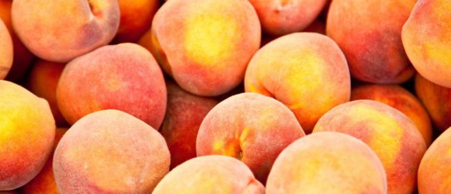 Nova campanya per a la promoció del préssec i de la nectarina per informar al consumidor i posar en valor les qualitats d’aquests productes