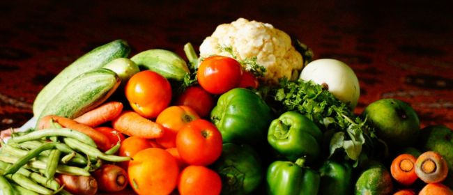 A Catalunya caldria més del doble de la superfície agrària actual per cobrir la demanda alimentària, segons un informe de l’Observatori agroalimentari, rural i ambiental