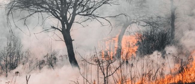 Crida a la responsabilitat cívica per evitar incendis forestals aquest estiu