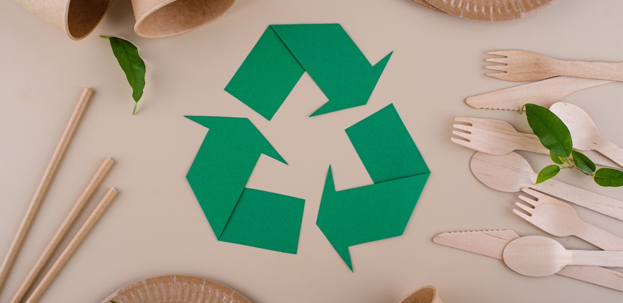 La superfície ecològica va augmentar un 0,25% més el 2024 respecte l’any anterior arribant a les 284.590 hectàrees