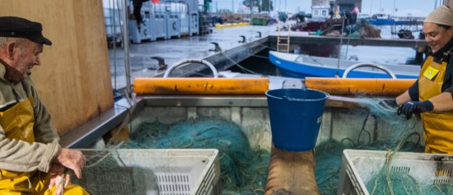 Es destinen 1,9 milions en ajuts per a la consolidació de les organitzacions de productors pesquers i a la implementació dels seus plans de comercialització
