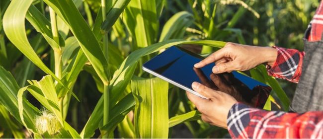 StartAgriFood, la nova microcredencial de la Universitat de Barcelona per impulsar l’emprenedoria que transforma el sector agroalimentari