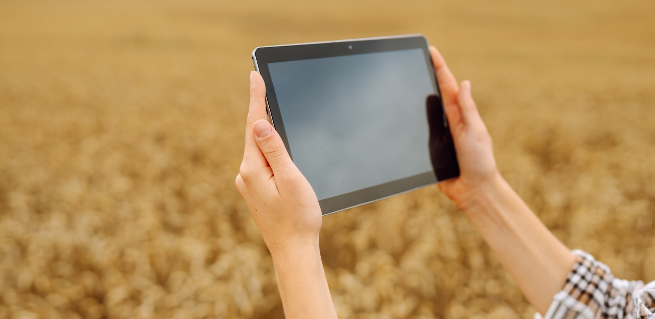 Article tècnic: Els sistemes de coneixement i innovació agrícoles a la política agrària comuna d’aquest període 2023-2027