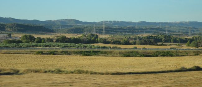 Oberta la primera convocatòria per accedir a terres agràries en desús per afavorir la incorporació de nous professionals al camp