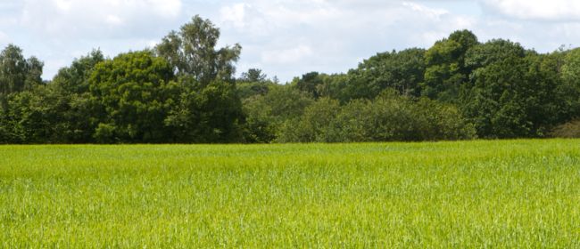 Més de 300 sol·licituds en la convocatòria d’ajuts Leader 2025 per invertir a les zones rurals de Catalunya