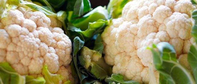 Butlletins d’informació fitosanitària per al mes de desembre de 2025