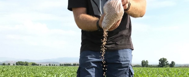 Nova calculadora per ajustar la fertilització nitrogenada: coneix el nitrogen aportat