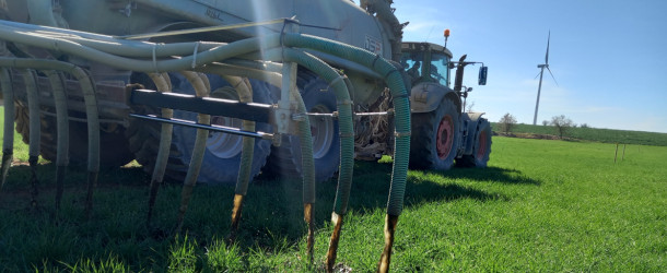 S’autoritza l’aplicació de purí en cobertora de cereals d’hivern fins al 30 d’abril a les zones vulnerables i fins al 14 de maig a les no vulnerables