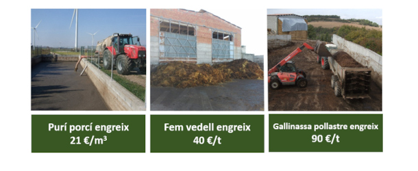 Valor fertilitzant de les dejeccions ramaderes (preus mitjana de gener a setembre de 2024)