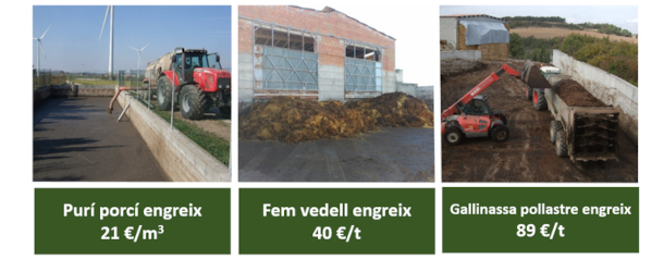 Valor fertilitzant de les dejeccions ramaderes (preus 2024)