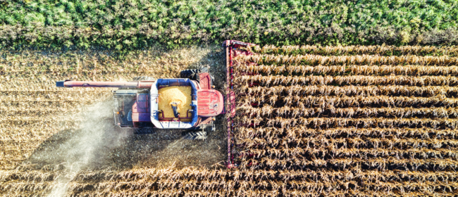 Aprovats els ajuts per fomentar les activitats respectuoses envers el medi i promoure models específics d'activitat agrària