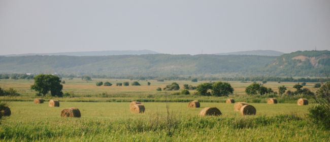 Unes 45.000 explotacions d’agricultors i ramaders ja poden presentar la DUN 2026