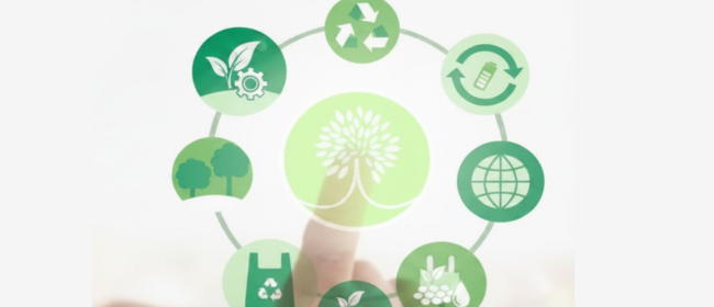 Convocatòria oberta als ajuts a la destil·lació de subproductes de la vinificació de la campanya 2025-2026