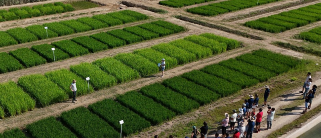 Nova convocatòria oberta d'ajuts per als Grups Operatius dotada amb 10 milions d'euros