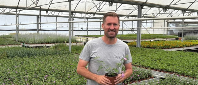 ENTREVISTA ALBERT SALA  "Les plantes mediterrànies i la jardineria sostenible no són una opció, són una necessitat"