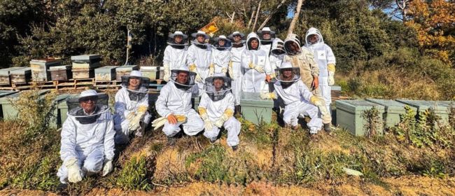 El projecte europeu bestHONEY visita un apiari amb mètodes de producció sostenibles al Montseny
