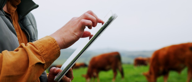 Oberta la convocatòria a la 13a edició del Premi Ruralapps